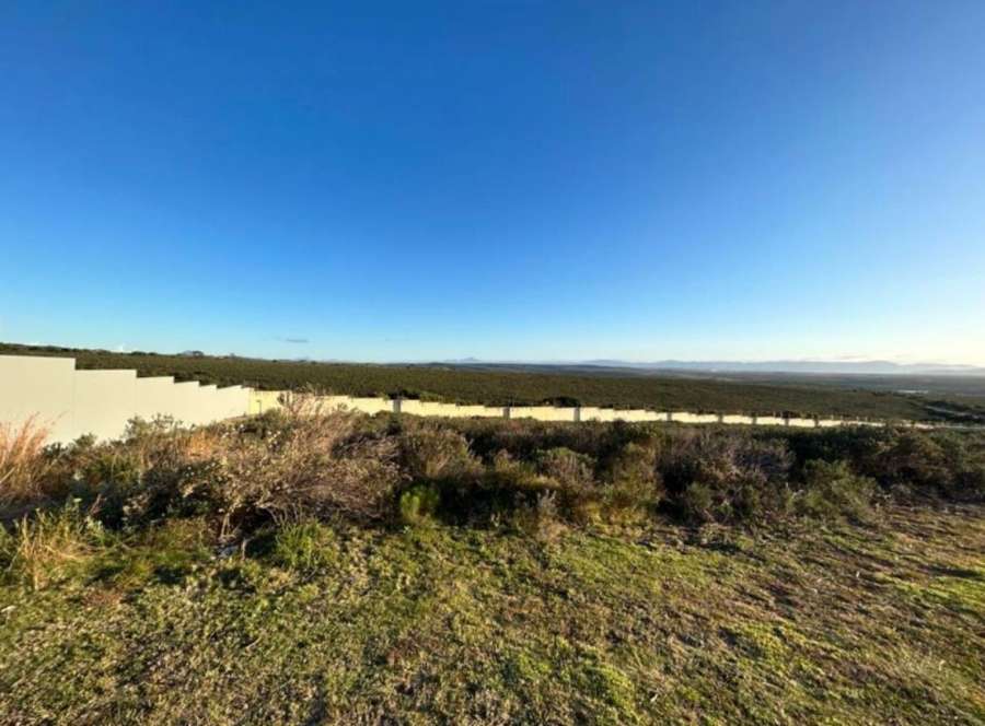 0 Bedroom Property for Sale in Blue Waters Estate Eastern Cape